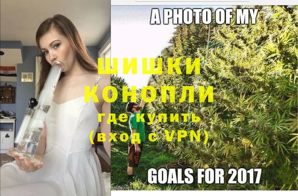 мяу мяу мука Бородино