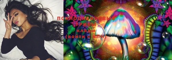 мяу мяу мука Бородино