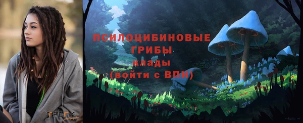 мяу мяу мука Бородино