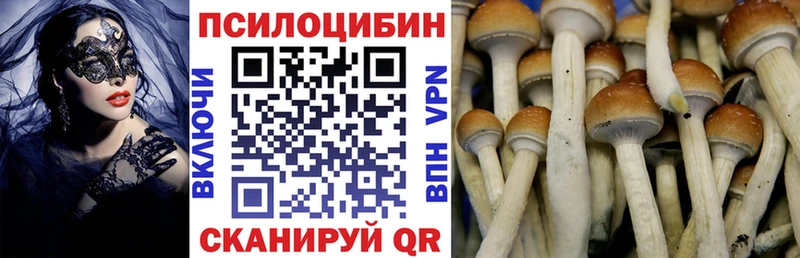 hydra зеркало  Губкинский  Галлюциногенные грибы прущие грибы 
